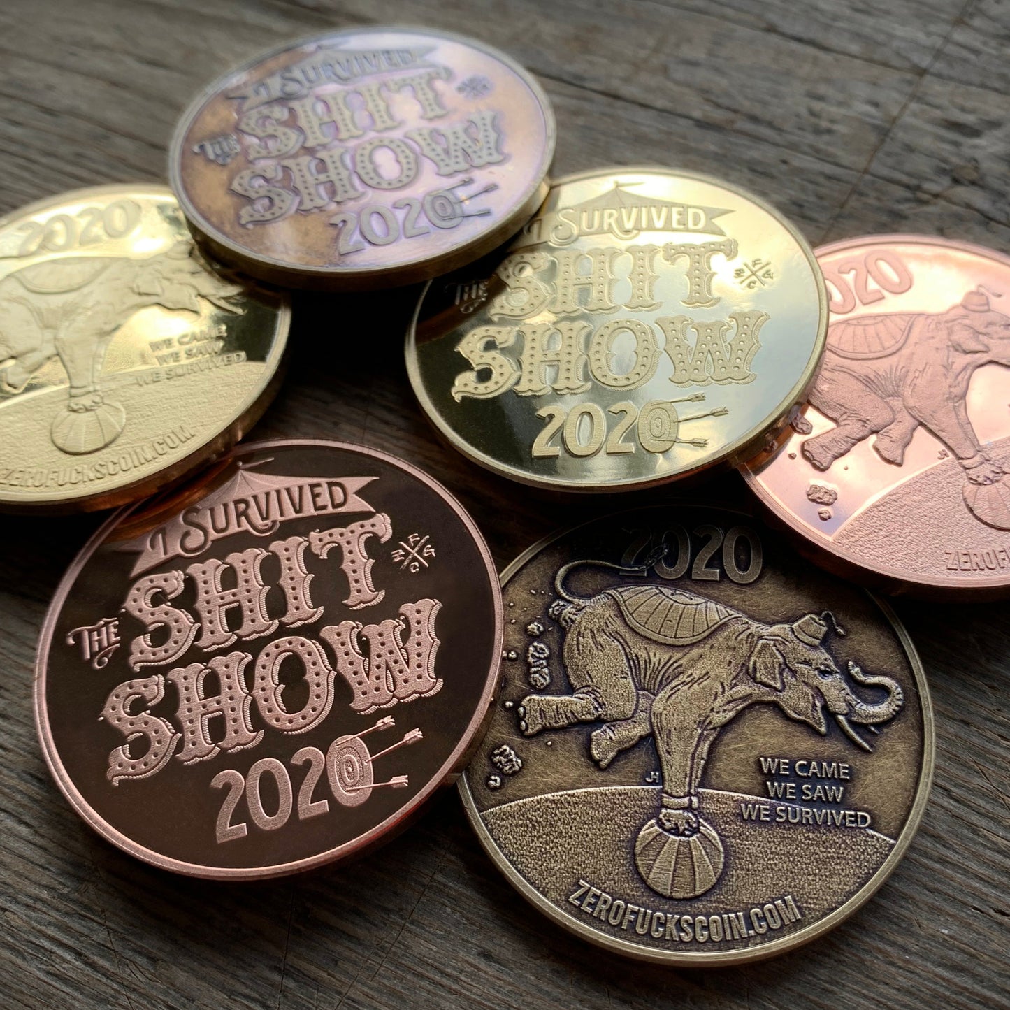 I Survived "The Shit Show" 2020 Coin (Bronze)