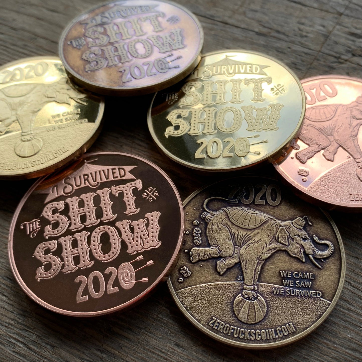 I Survived "The Shit Show" 2020 Coin (Gold)