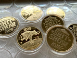 I Survived 2020 Commemorative Coins - Gold