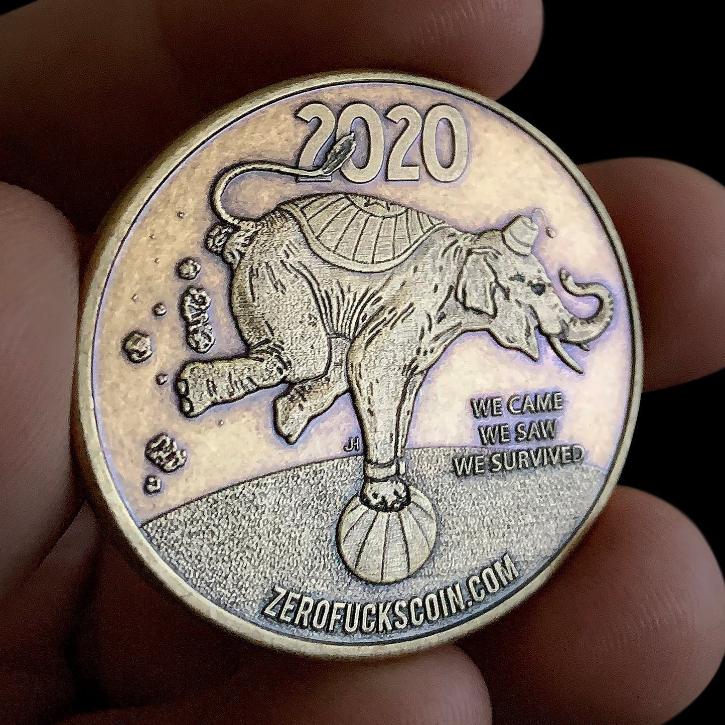 I Survived "The Shit Show" 2020 Coin (Bronze)