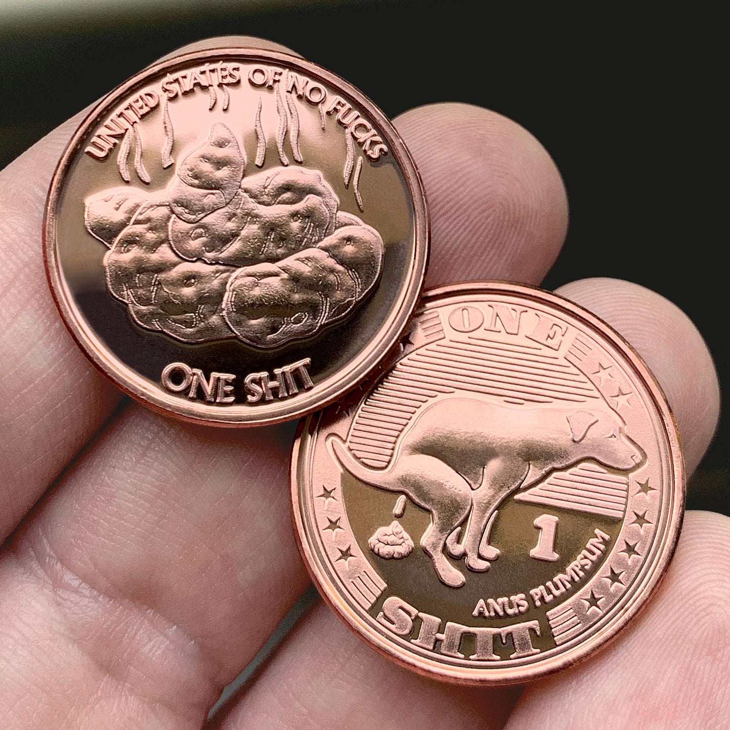"Shit" Coin 10-Pack **SPECIAL**