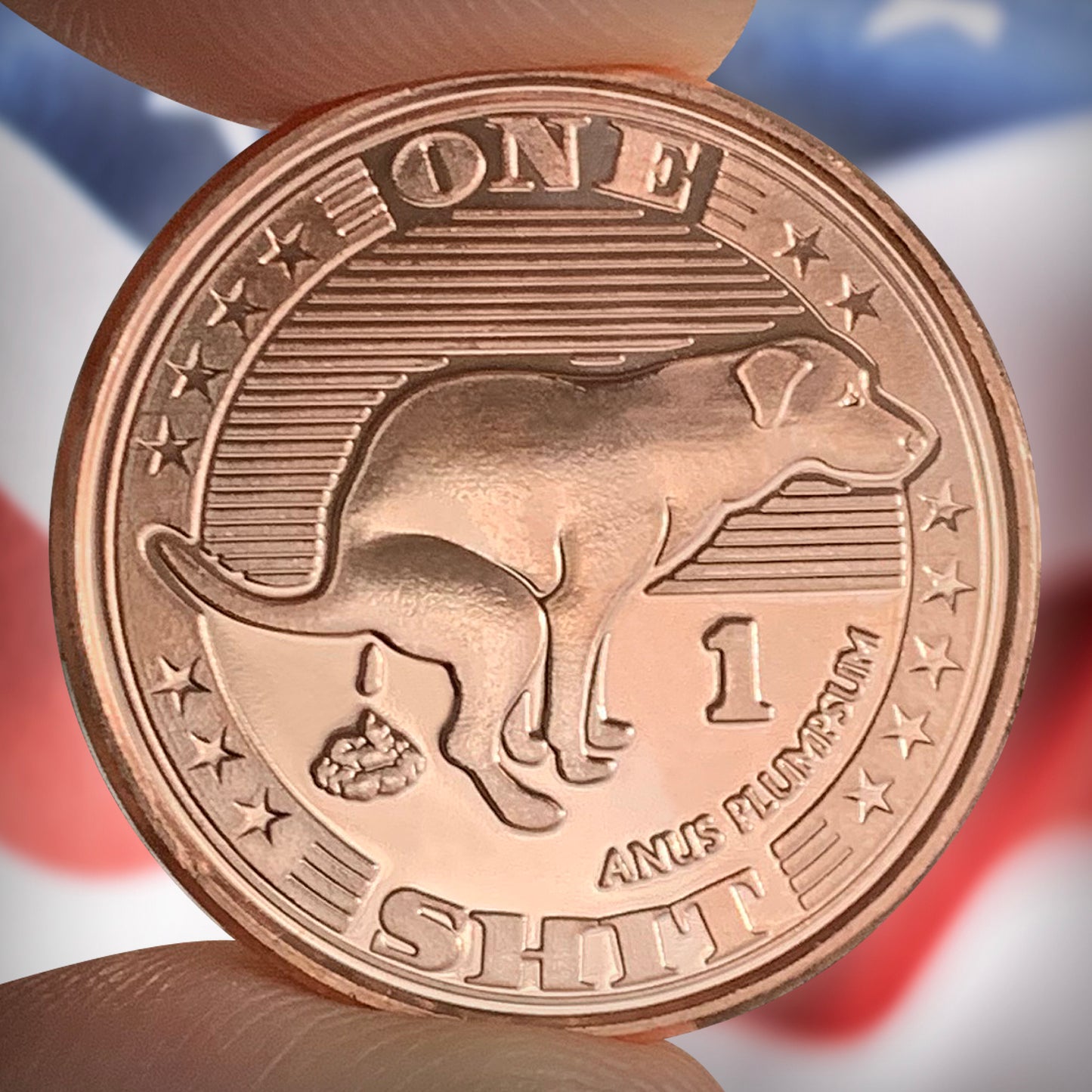 "Shit" Coin 10-Pack **SPECIAL**
