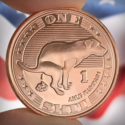 "Shit" Coin 10-Pack **SPECIAL**