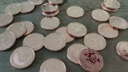 "Shit" Coin 10-Pack **SPECIAL**