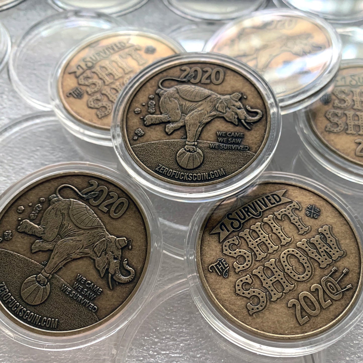I Survived "The Shit Show" 2020 Coin (Bronze)