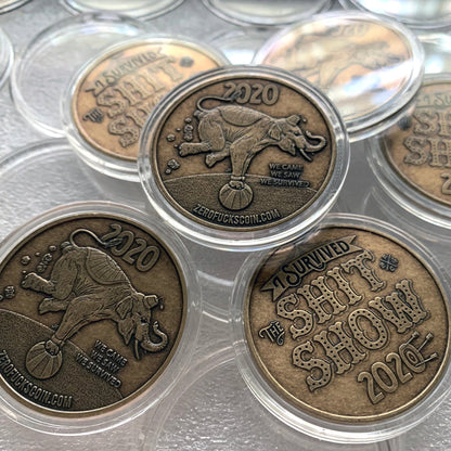 I Survived "The Shit Show" 2020 Coin (Bronze)