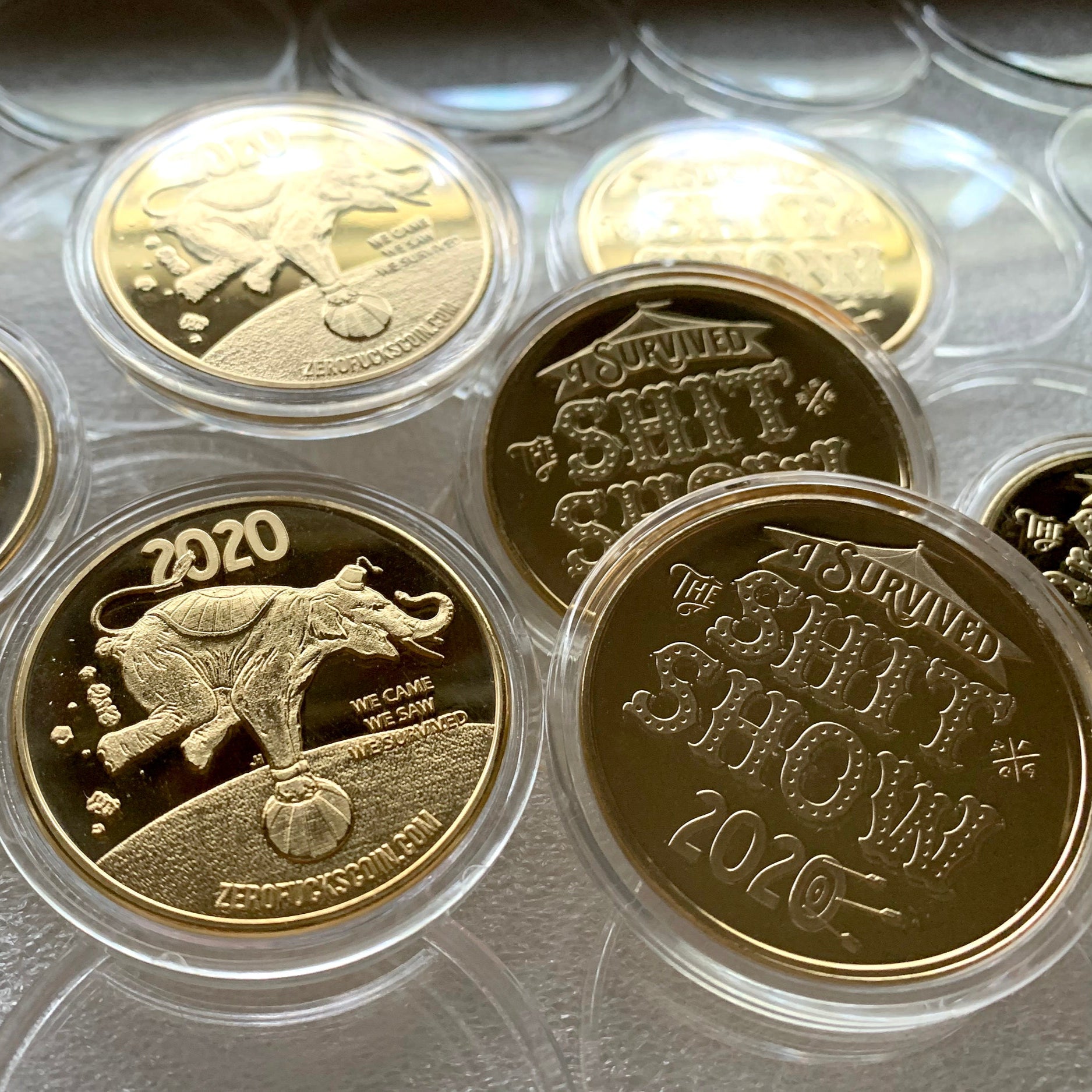 I Survived 2020 Commemorative Coins - Gold