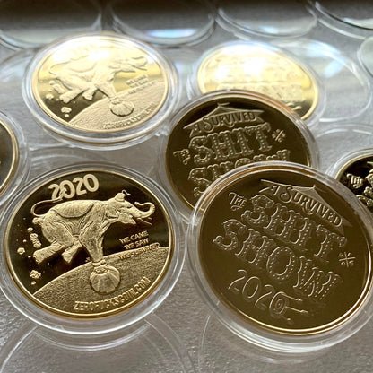 I Survived 2020 Commemorative Coins - Gold