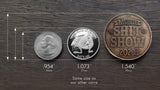 I Survived "The Shit Show" 2020 Coin (Bronze)