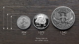 "Antiqued Silver" One Fuck/Zero Fucks Decision Maker Coin